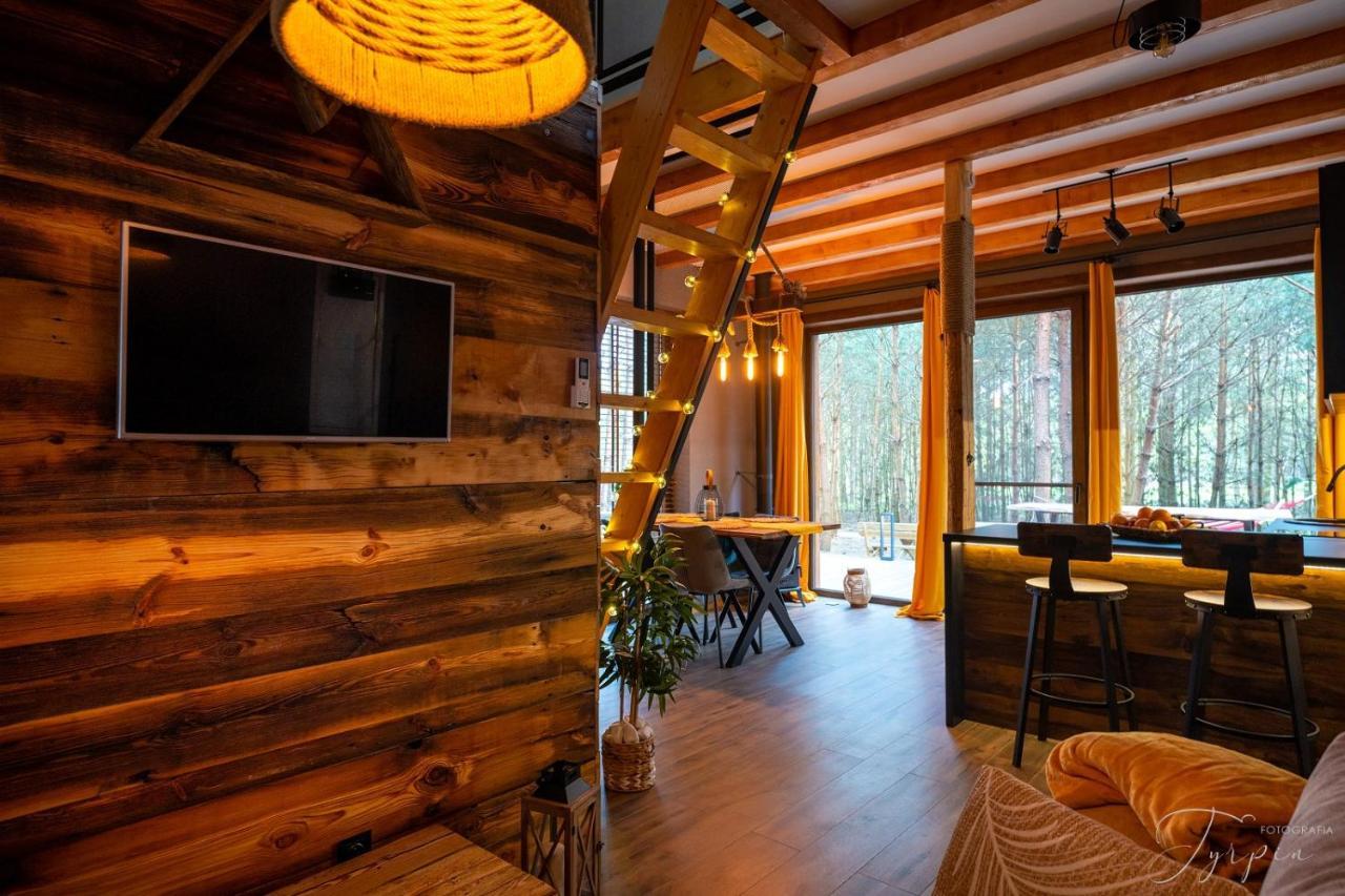 Dziupla House Villa Czarna  Ngoại thất bức ảnh