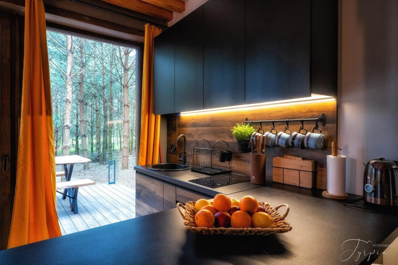 Dziupla House Villa Czarna  Ngoại thất bức ảnh